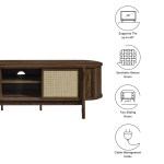 Reid 61" TV Stand - Image 4