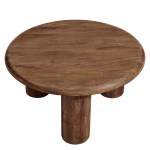 Mavina Round Mango Wood Coffee Table - Image 13