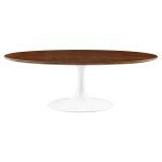 Lippa 48" Oval Wood Coffee Table