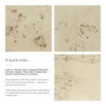 Cosmos 16" Round Burl Wood Side Table - Image 5