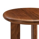Rivian Round Side Table - Image 17