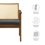 Thera Vegan Leather and Cane Accent Armchairs Set of 2 - Image 4