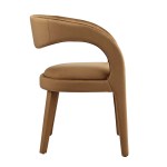 Pinnacle Performance Velvet Dining Chair Set of 2 - Image 9